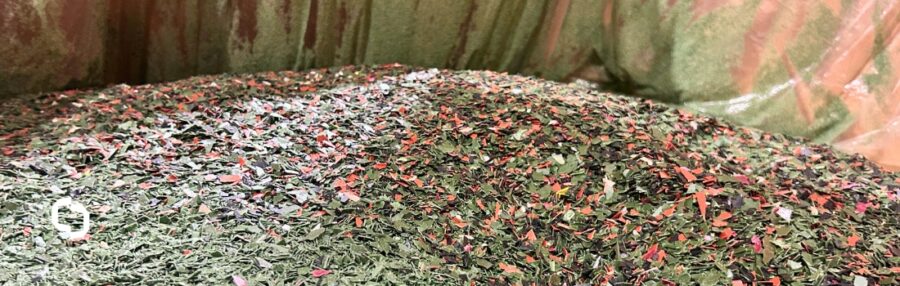 Shredded recycled material ready for processing at Extera, highlighting the company’s commitment to the plastics treaty and the future of recycled resin markets.
